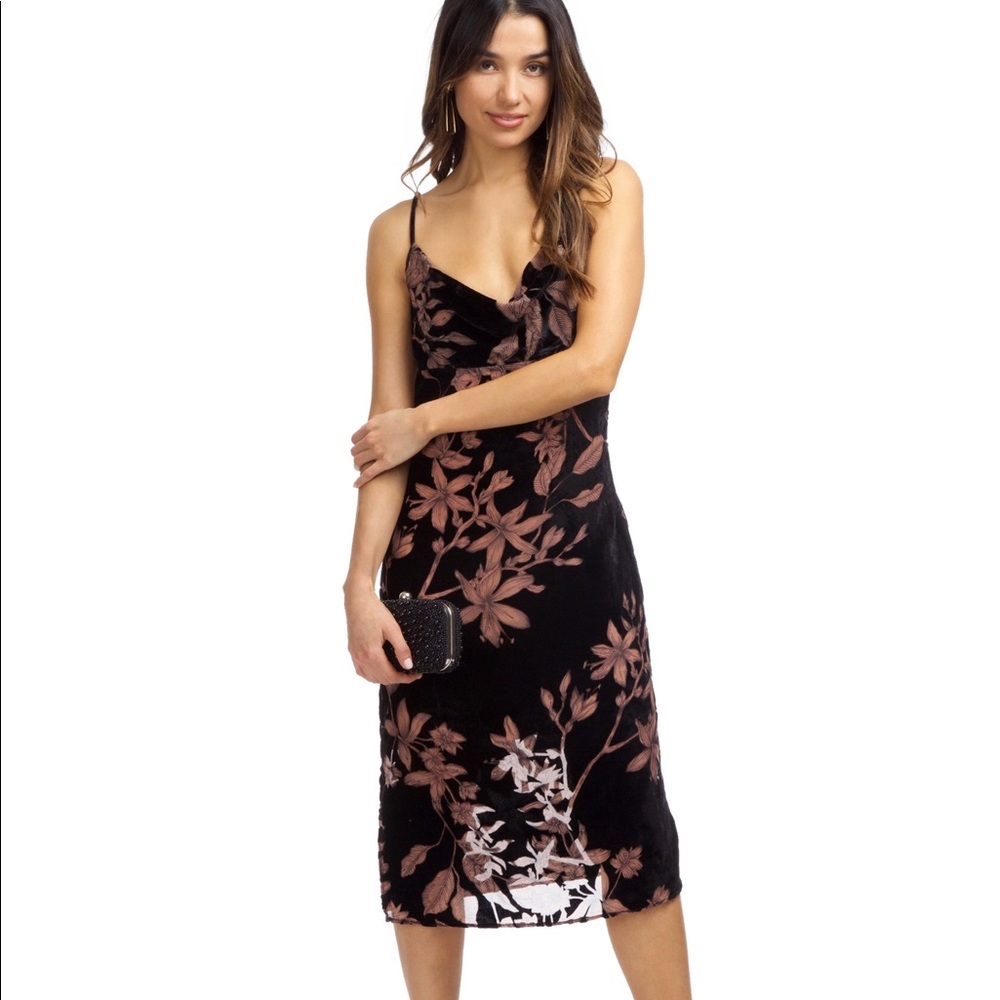 Line & dot cowl neck floral velvet midi dress